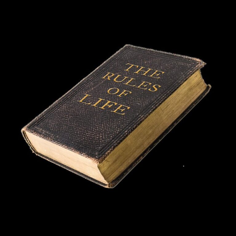 nanowrimo rules