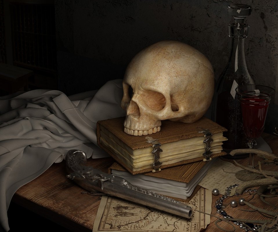 drawing skull reference