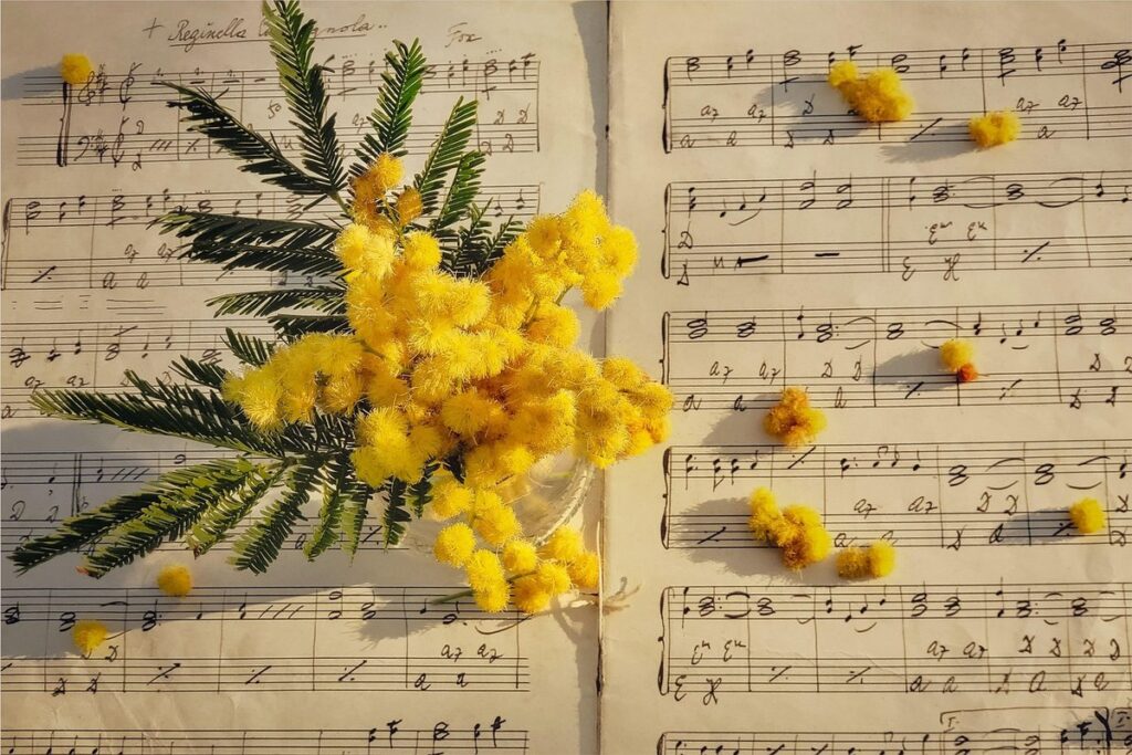 music composition