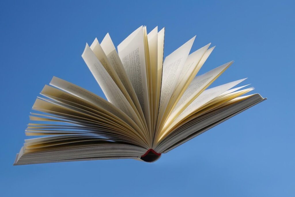 novel length