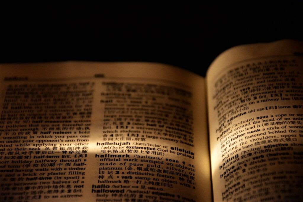 plot definition literature