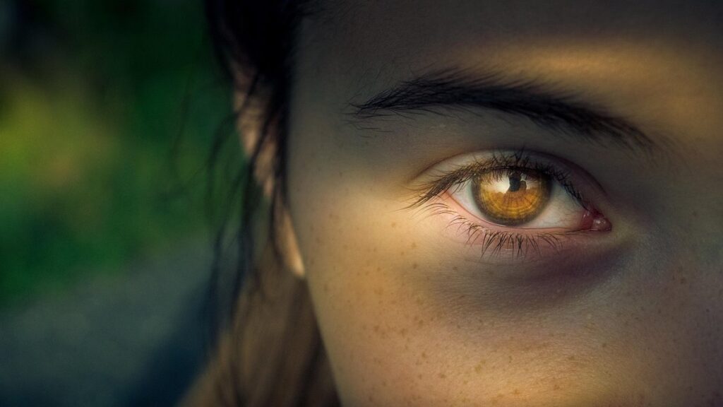 Third person view