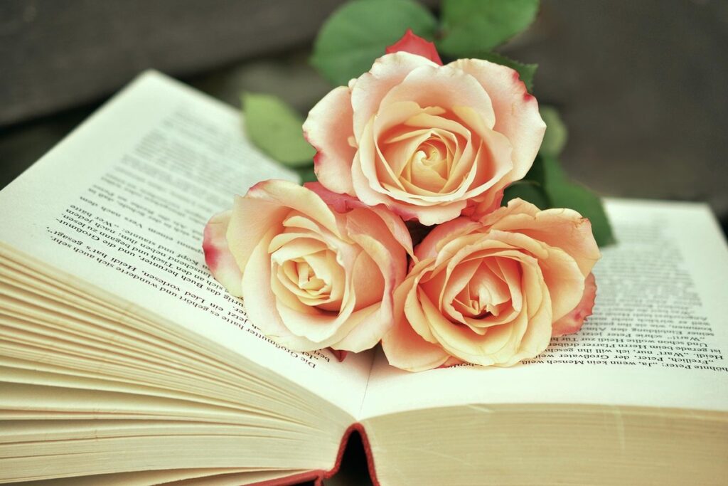 Book synopsis