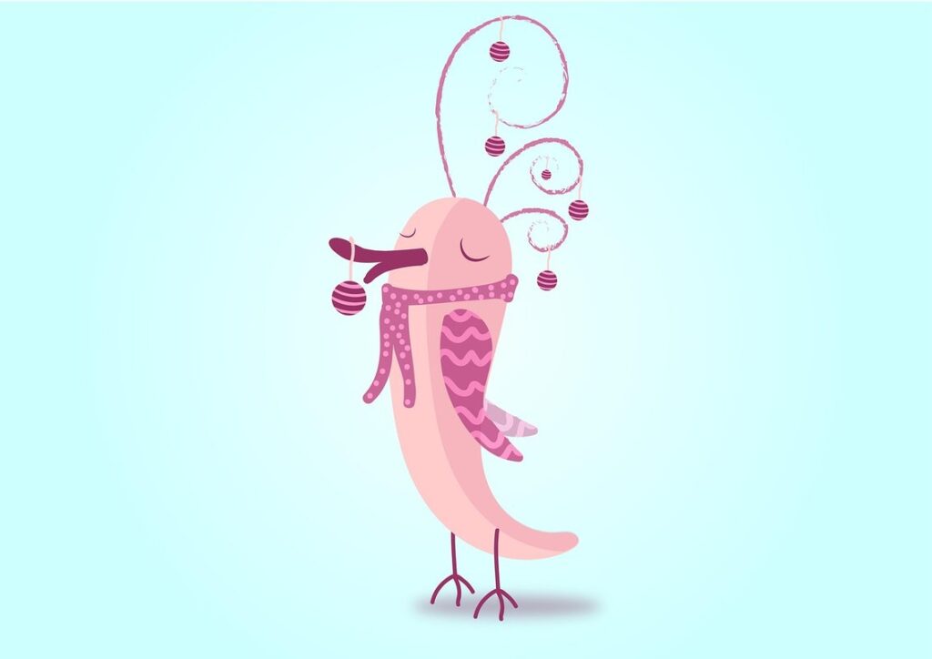 how to draw a cartoon bird