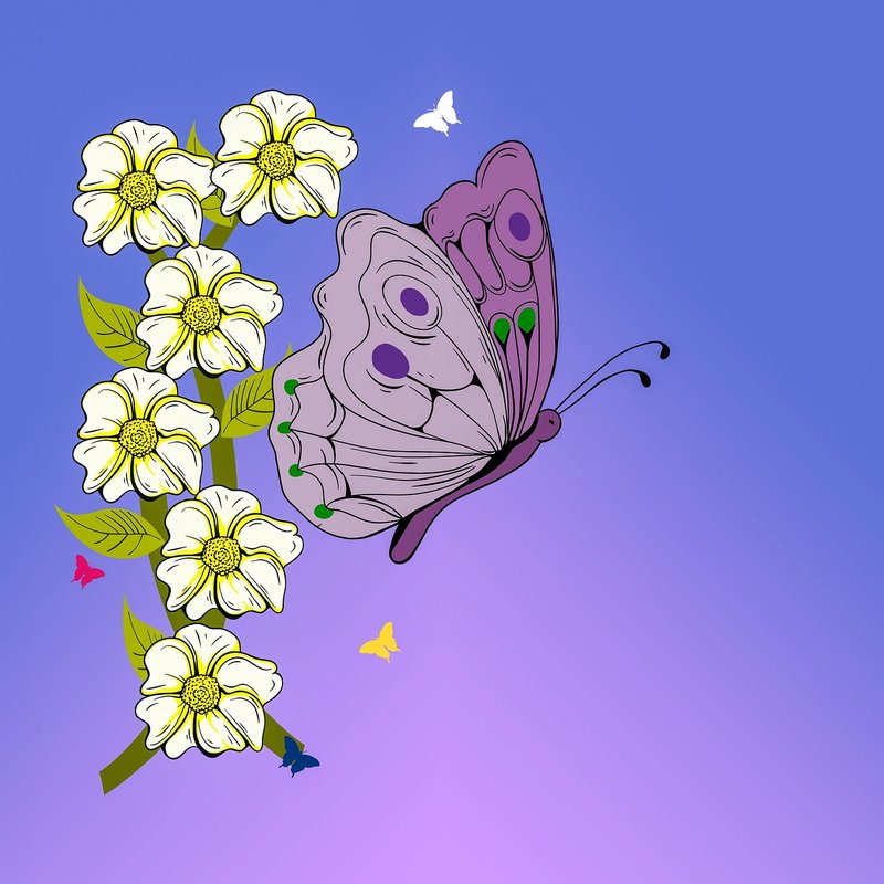 Cartoon butterfly