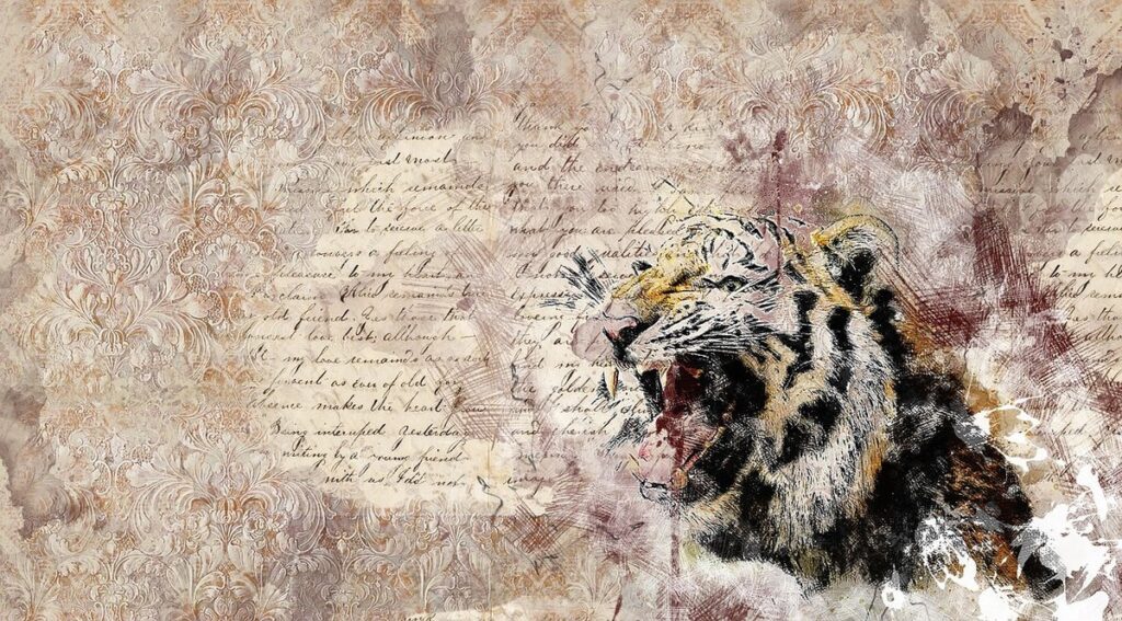 Tiger drawing