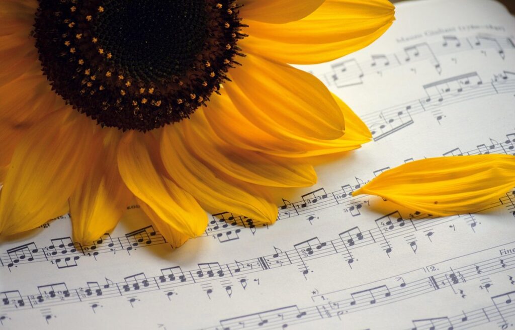 song lead sheets