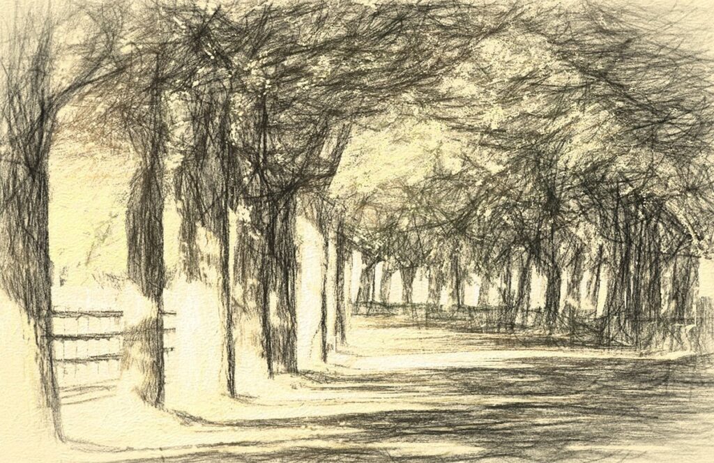 sketching of trees