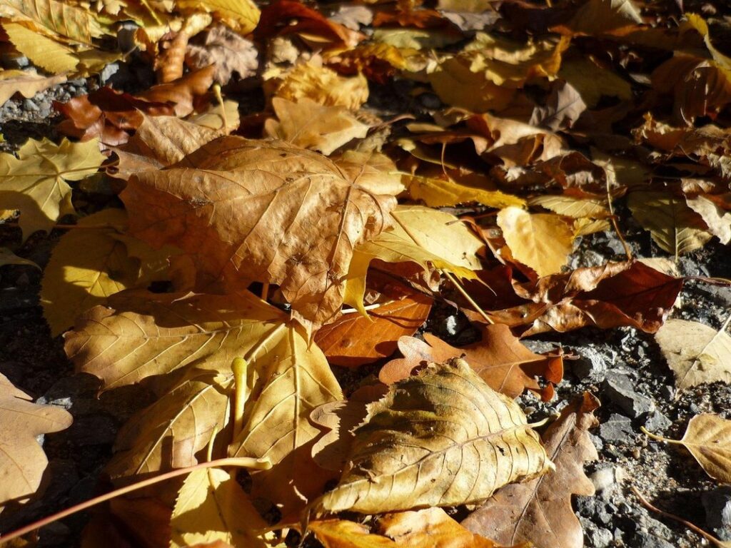 poems of the seasons