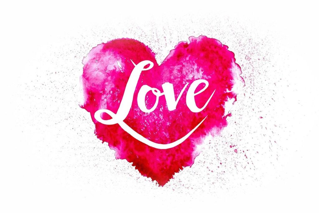 documenting a creative year